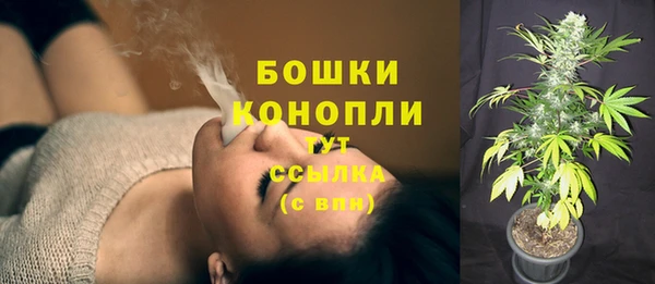 стафф Белокуриха
