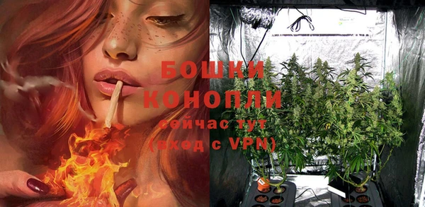 стафф Белокуриха